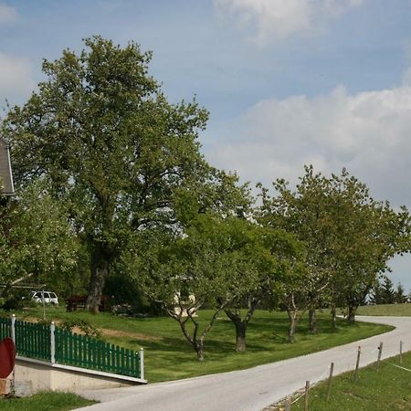 Bauernhof Hoenigshof Fischbach Luaran gambar