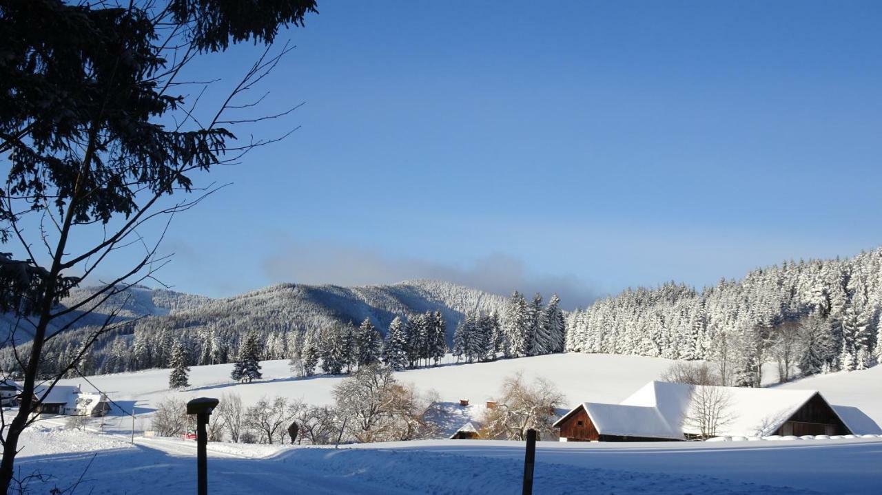 Bauernhof Hoenigshof Fischbach Luaran gambar