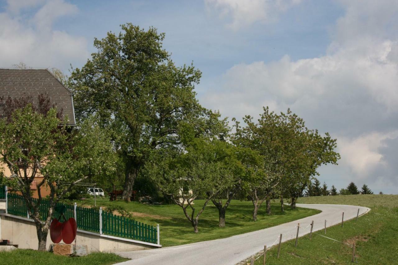 Bauernhof Hoenigshof Fischbach Luaran gambar