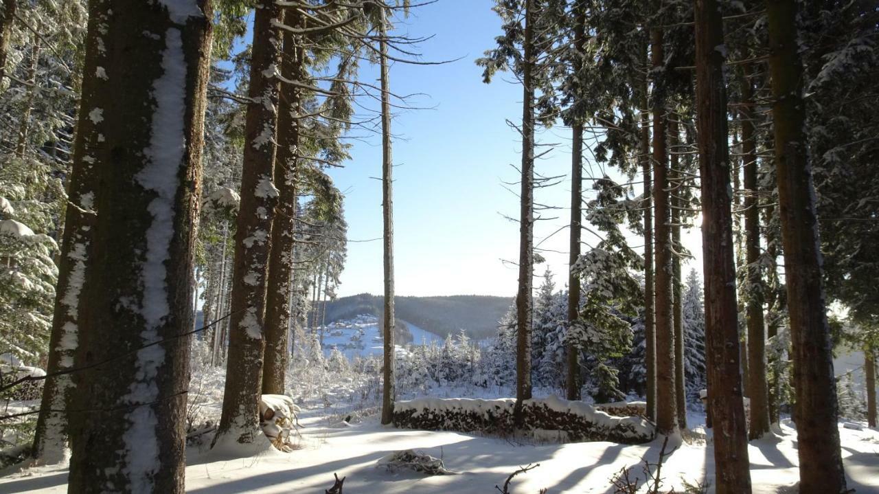 Bauernhof Hoenigshof Fischbach Luaran gambar